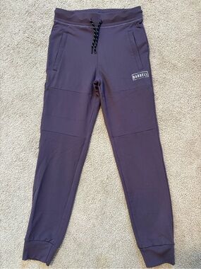 Size Small The Barbell Cartel Joggers, in purple